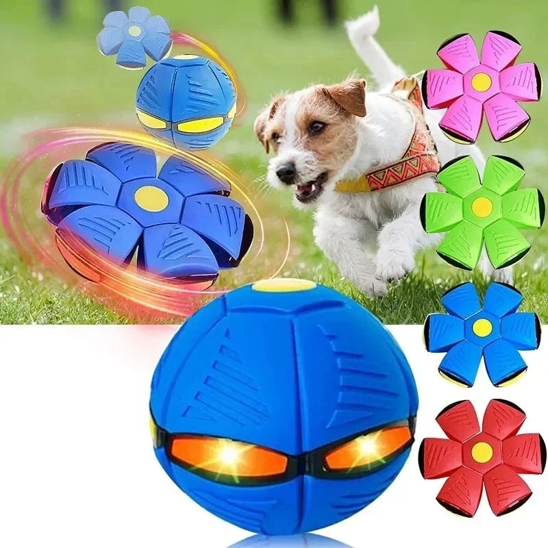 Dogs Flying Disc Toy