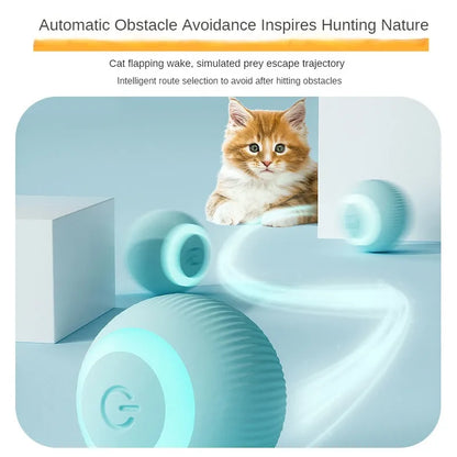 Automatic Moving Cats Toy